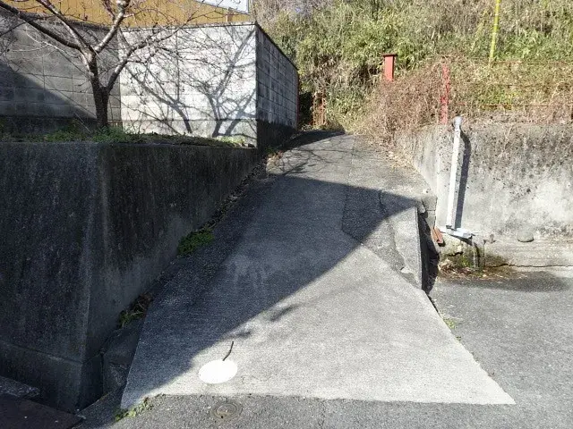Slide 6