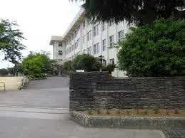 Slide 12