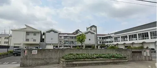 Slide 6