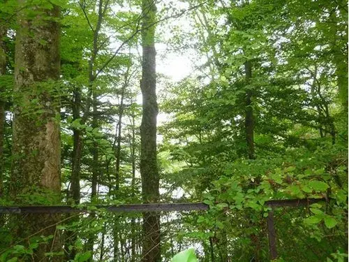 Slide 5