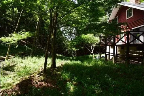 Slide 1