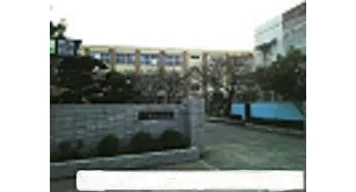 Slide 11