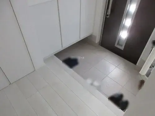 Slide 5