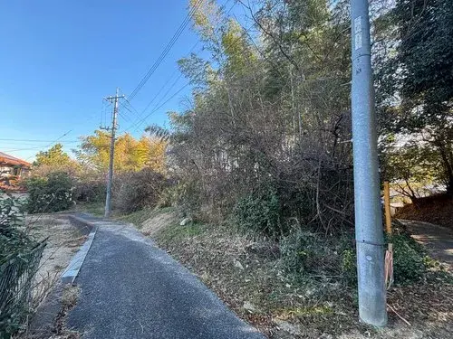 Slide 0
