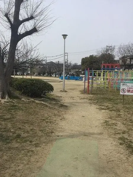 Slide 8