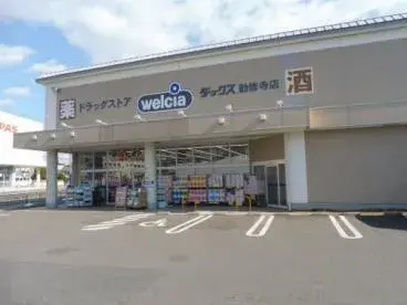 Slide 8