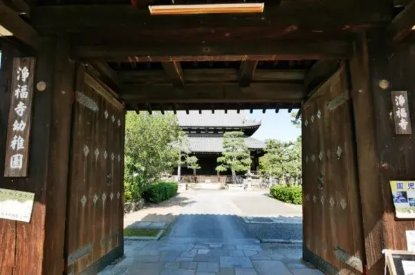 Slide 6