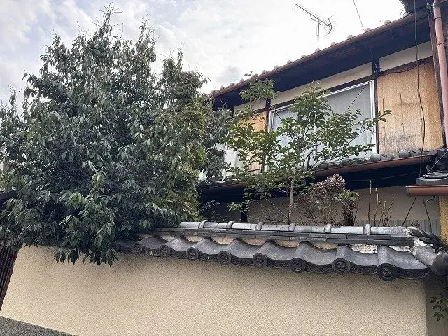 Slide 0