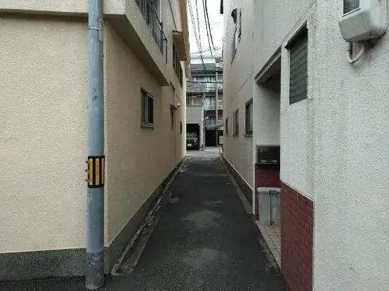 Slide 7