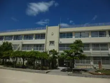 Slide 7