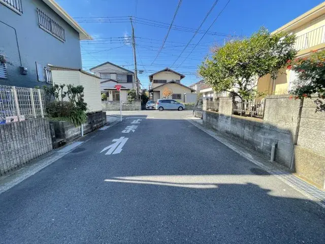 Slide 8
