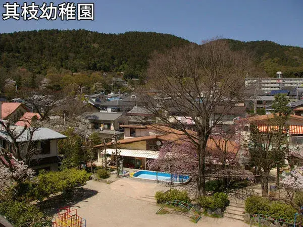 Slide 8