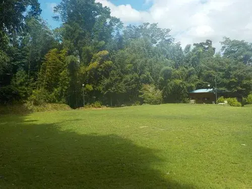 Slide 15