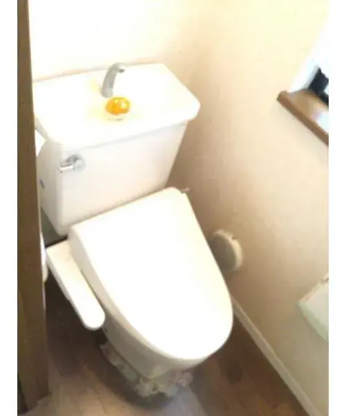 Slide 11