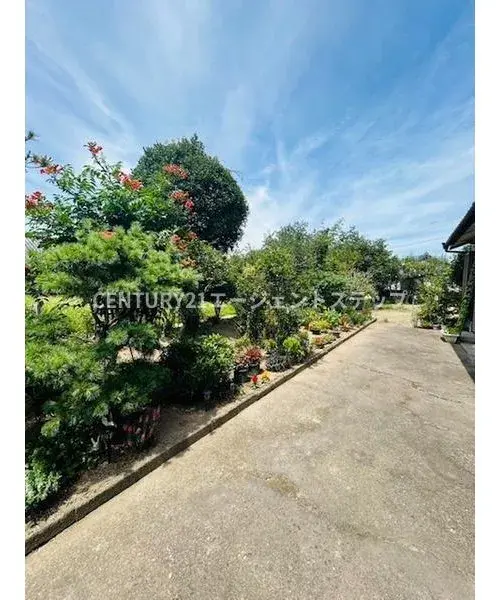 Slide 13