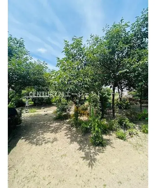 Slide 15