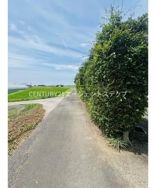 Slide 17