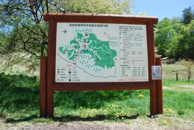 Slide 15