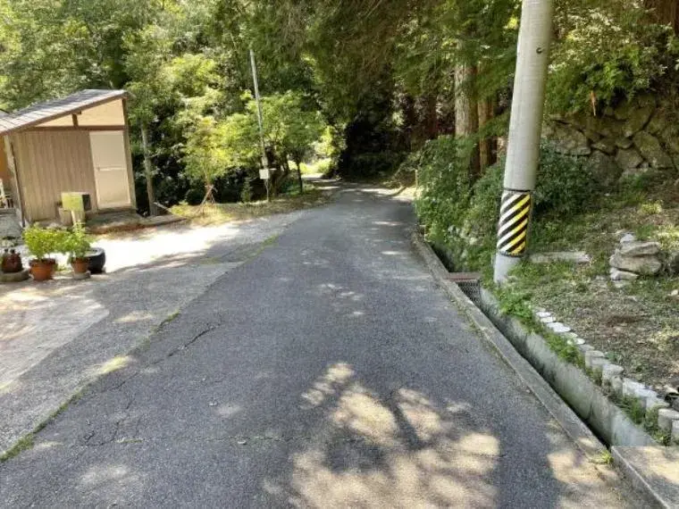 Slide 6