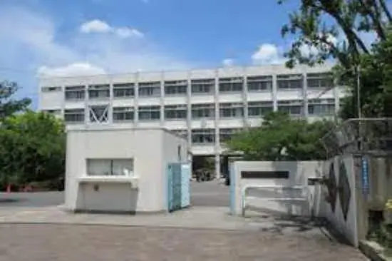Slide 11