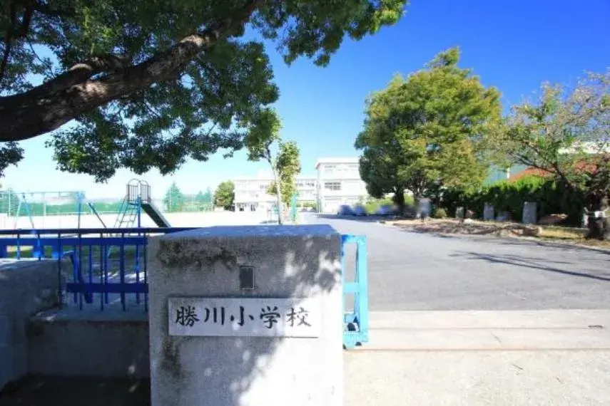 Slide 4