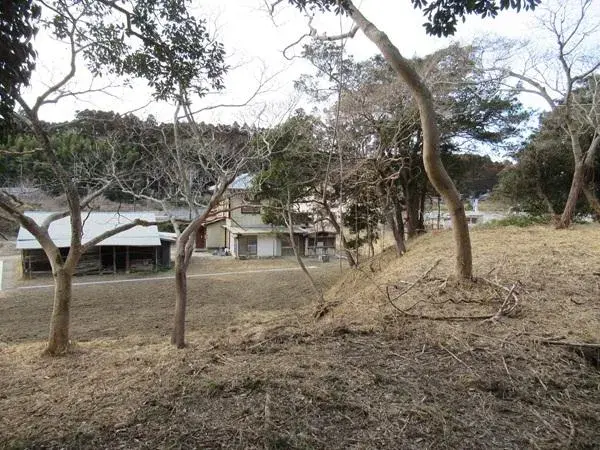 Slide 9