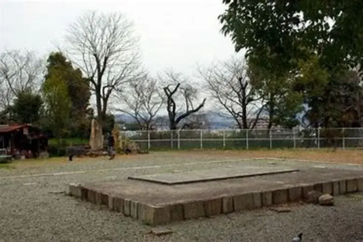 Slide 5