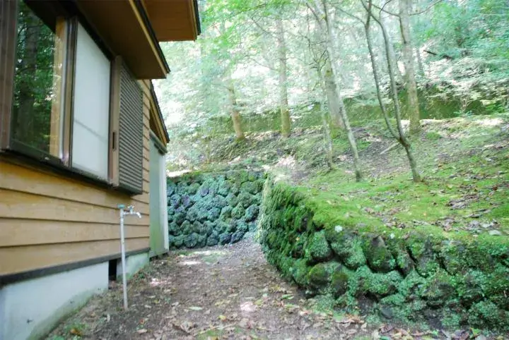 Slide 5