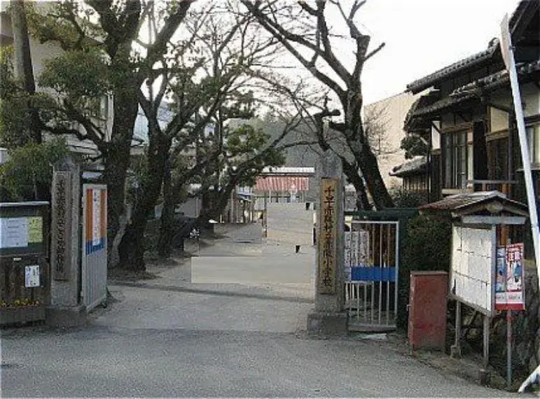 Slide 8