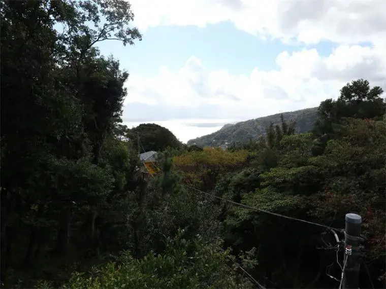Slide 4