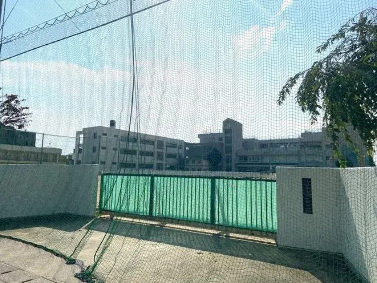 Slide 4