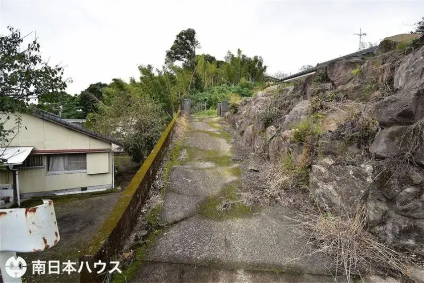 Slide 8
