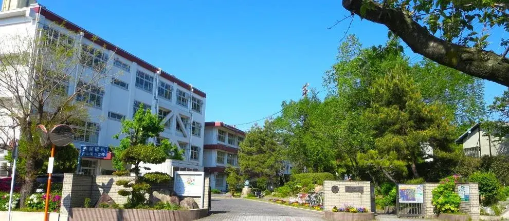 Slide 5