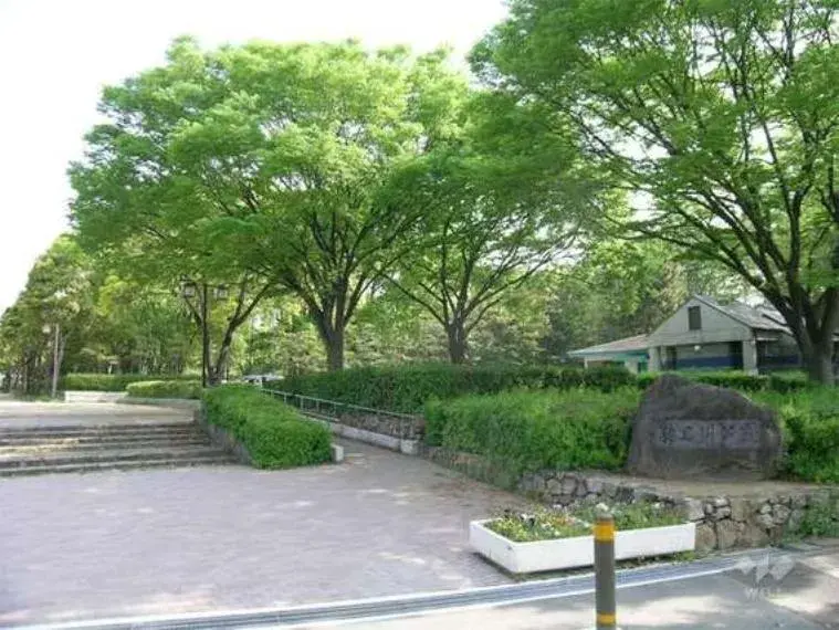 Slide 17