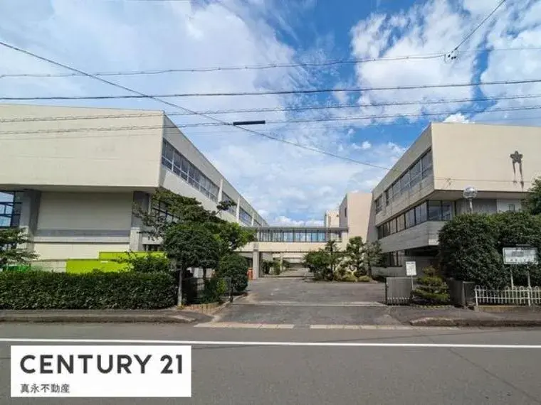 Slide 3