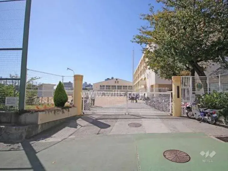 Slide 24