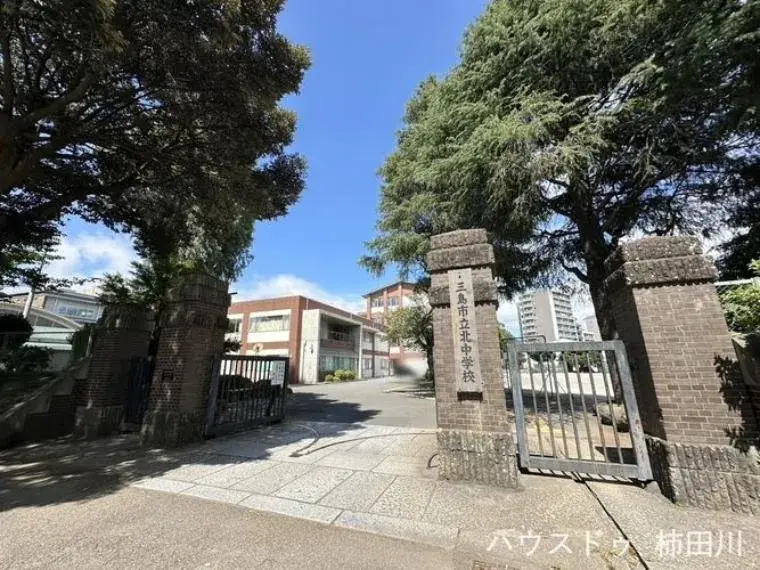 Slide 7