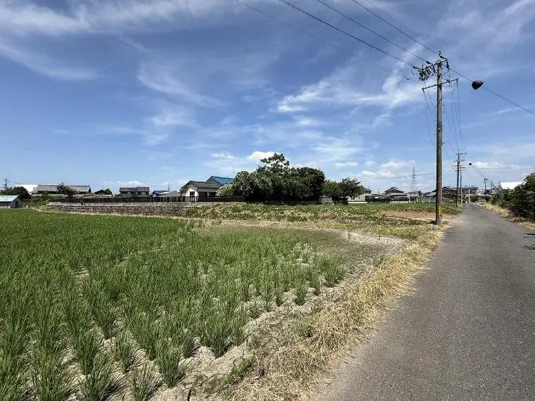 Slide 4