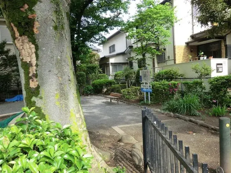 Slide 7