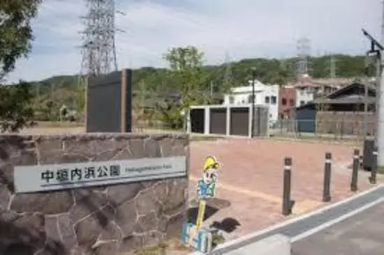 Slide 8