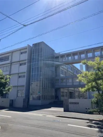 Slide 6