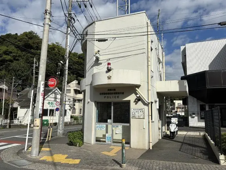 Slide 8