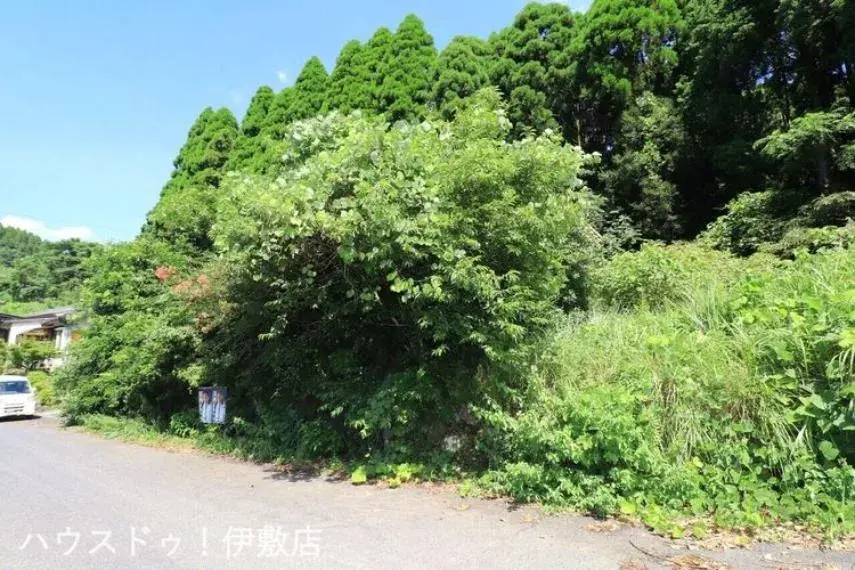 Slide 3
