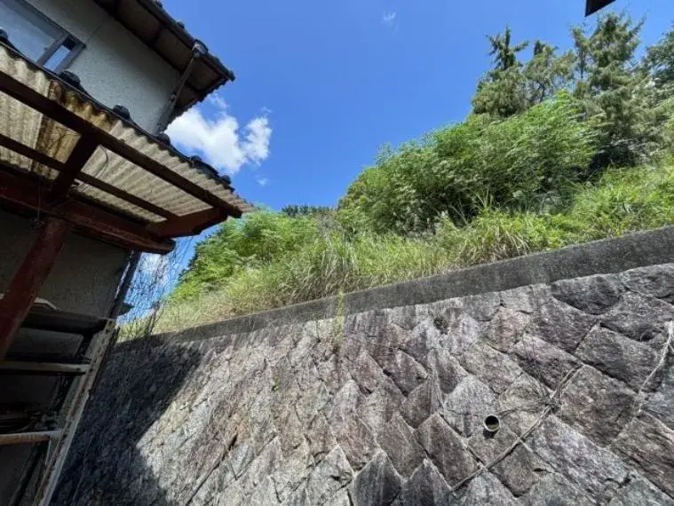 Slide 5
