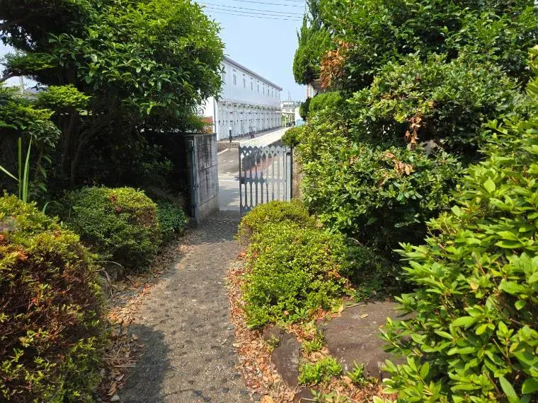 Slide 8