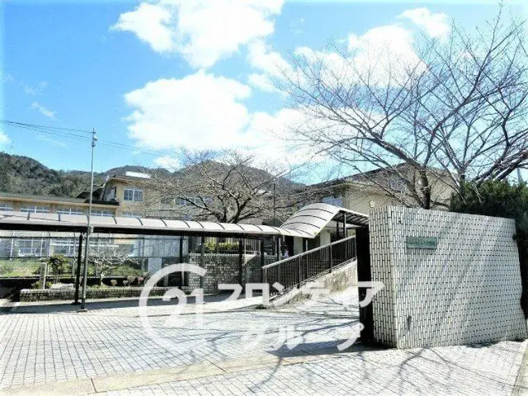 Slide 3