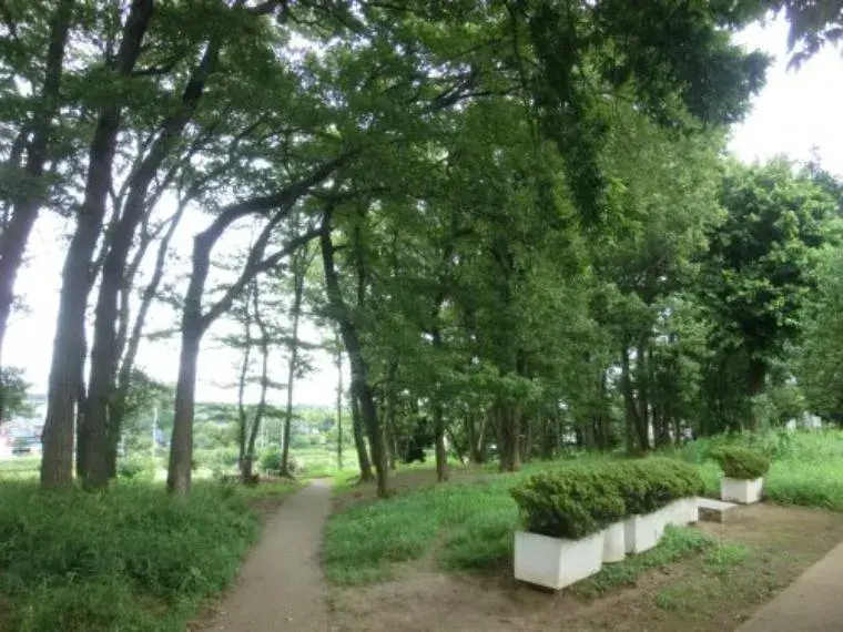 Slide 31