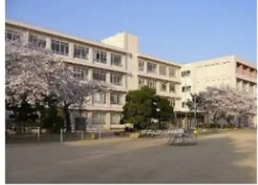 Slide 31