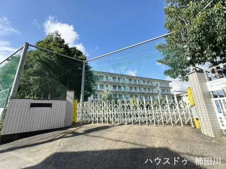 Slide 29