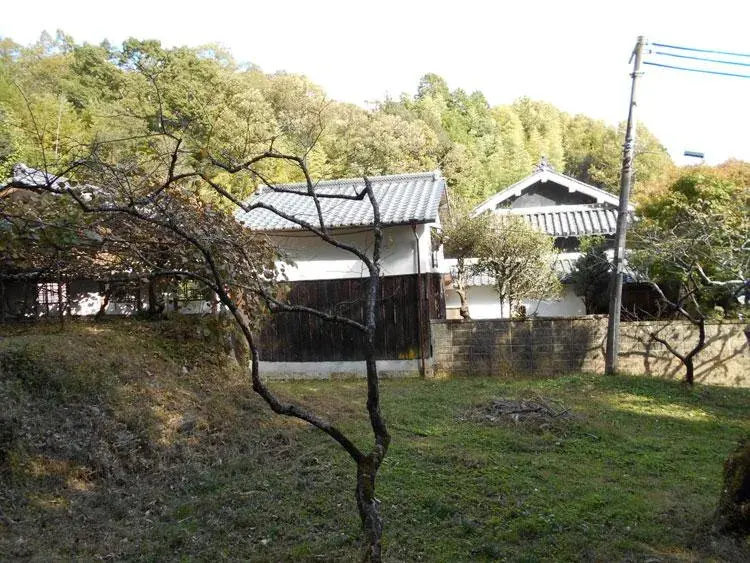 Slide 2
